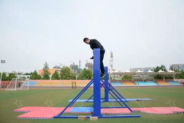 1766047698703772.jpg 9.jpg