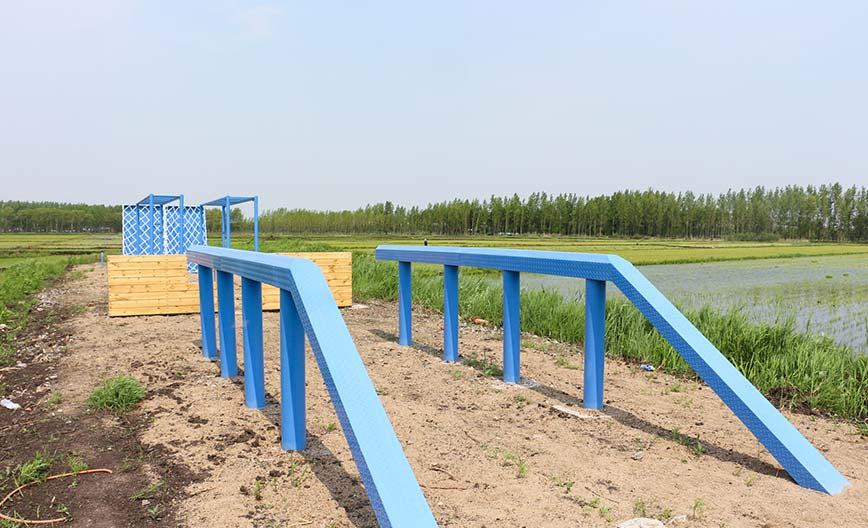 背摔台培养团队忠肝义胆